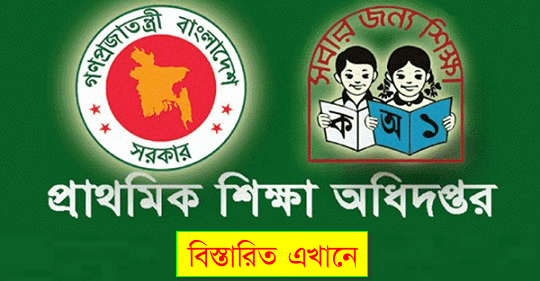 DPE Govt Primary Job Circular 2020 - dpe.teletalk.com.bd