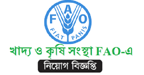 FAO Job Circular