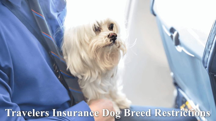 Travelers Insurance Dog Breed Restrictions